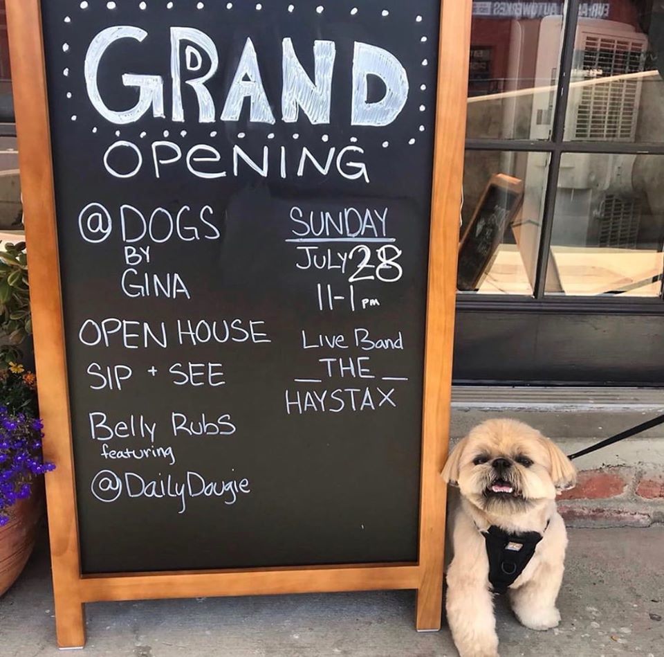 Internet celebrity Dougie the Shih Tzu, attended the grand opening of Napa Natural Dog Co.